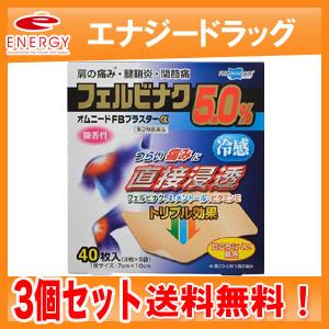 【第2類医薬品】【送料無料・3個セット】【テイコクファルマケア】オムニードFBプラスターα 40枚×...