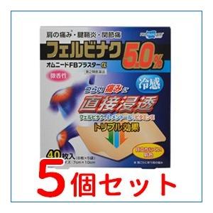 【第2類医薬品】【送料無料】【5個セット】【テイコクファルマケア】オムニードFBプラスターα 40枚...
