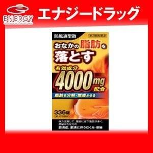 【第2類医薬品】エキス量がなんと4000mg　防風通聖散料エキス錠「創至聖」336錠　【北日本製薬・...