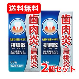 【第2類医薬品】【送料無料・2個セット】 　排膿散エキス錠 63錠J ×2セット はいのうさん　歯肉...