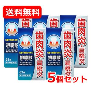 【第2類医薬品】【送料無料・メール便】 排膿散 エキス錠 63錠 J 5個セット はいのうさん 歯肉...