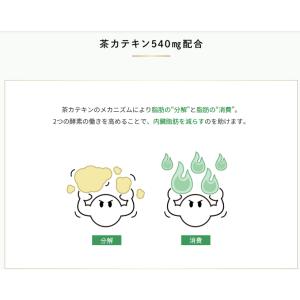 【送料無料!!】【キリン】【特保】 ヘルシア緑...の詳細画像2