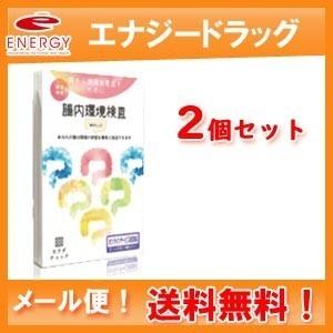 【メール便！送料無料！2個セット】【ヘルスケアシステムズ】腸内環境検査　腸活チェック×2