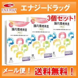 【メール便！送料無料！3個セット】【ヘルスケアシステムズ】腸内環境検査　腸活チェック×3個セット