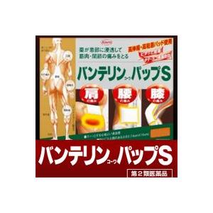 【第2類医薬品】バンテリンコーワパップS　【12枚】　【興和新薬】　　貼付剤　 ※セルフメディケーシ...