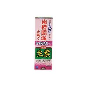 【小林製薬】　生葉 知覚過敏症状予防タイプ　100g 【医薬部外品】