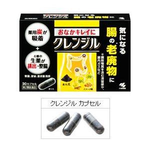 小林製薬腸のクレンジル ダイエット 健康グッズ の商品一覧 通販 Yahoo ショッピング
