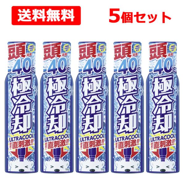 【送料無料】【 サイキョウファーマ 】 頭用 ヘッドクールスプレー 100mL×5個セット 極冷却 ...