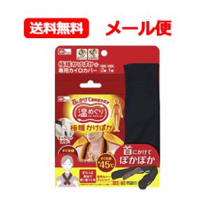 レック 極暖かけぽか さらっとカバー付き 【1セット】　専用カイロカバー付き カイロ 2個 カバー1個　使い捨てカイロ　メール便　送料無料｜denergy