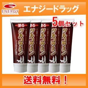 【送料無料・5個セット】【京都栄養化学研究所】 塗るグルコサミン 120g｜denergy