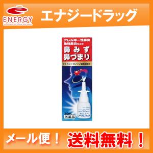 【第2類医薬品】【メール便！送料無料！】【日新薬品工業】ナーザルスキット　30ｍｌ｜denergy