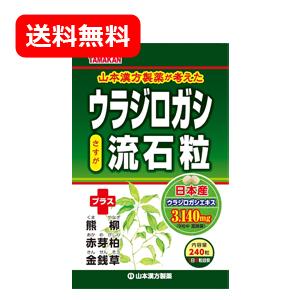 ウラジロガシ　流石粒（さすが粒） 240粒&lt;br&gt;【山本漢方】 うらじろがし　送料無料!!