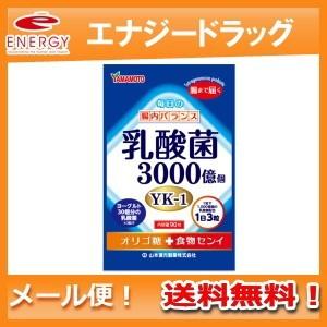 【メール便！送料無料！】 【山本漢方】 乳酸菌粒 90粒