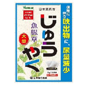 【第3類医薬品】山本漢方　日局　ジュウヤク　5g×48包<br>散剤　じゅうやく｜denergy