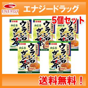 【送料無料！5個セット！】山本漢方　ウラジロガシ茶100%　5g×20包【リニューアルパッケージ！】｜denergy