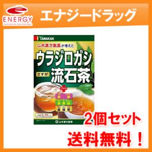 【2個セット！送料無料！】【山本漢方】ウラジロガシ流石茶（5g×24包）×2個セット｜denergy