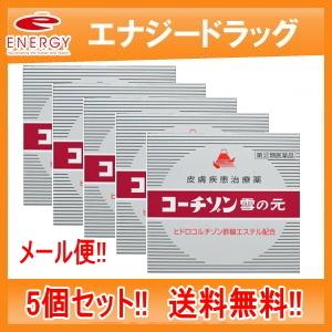 【第(2)類医薬品】【送料無料！メール便！5個セット】　コーチゾン　雪の元　【6ｇ】【(株)雪の元本...