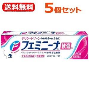 【第2類医薬品】【送料無料！5個セット！】フェミニーナ軟膏S30g×5本セット!!【軟膏剤】＜お得３...