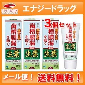 【メール便！送料無料！】【3個セット】小林製薬　薬用　生葉ｂ(しょうよう)　薬用ハミガキ　１００ｇ×3個セット