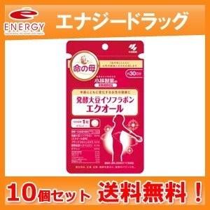 小林製薬 【メール便対応！送料無料！】【小林製薬】栄養補助食品 発酵