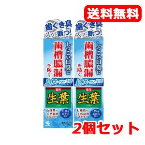 ワミレス バイオサポート 1.1g×36包入 : セラフィーネット Yahoo