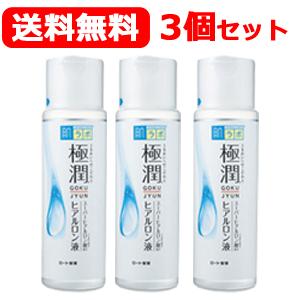 ロート 肌研 ハダラボ送料無料！ 3個セット 極潤ヒアルロン液 170ml ×3個｜denergy