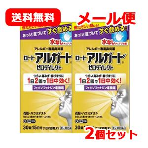 特別大奉仕！【メール便！送料無料】【第2類医薬品】【ロート製薬】アルガードゼロダイレクト　30粒 2個セット｜denergy