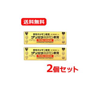 【送料無料・2個セット】プリズマホルモン軟膏　10g×2　■　要メール確認　■薬剤師の確認後の発送となります。　第1類医薬品｜エナジードラッグ1号店
