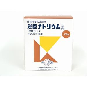 【小堺製薬】食品添加物　炭酸ナトリウム　500g｜denergy