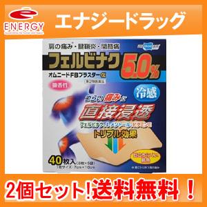 【第2類医薬品】【送料無料・2個セット】【テイコクファルマケア】オムニードFBプラスターα 40枚×...