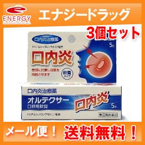 【第(2)類医薬品】【メール便！送料無料！3個セット！】【福地製薬】オルテクサー　口腔用軟膏　5g｜denergy