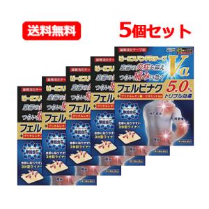 【第2類医薬品】大石膏盛堂 ビーエスバンFRテープVα 20枚入　湿布 　送料無料  5個セット｜denergy