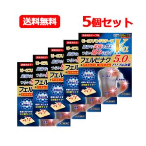 【第2類医薬品】大石膏盛堂 ビーエスバンFRテープVα 50枚　湿布　送料無料 5個セット｜denergy