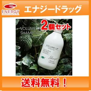 サロン専売品【EARTHEART】ボリュームアップ シャンプー 300ml【2個セット送料無料】【E...