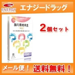 【メール便！送料無料！2個セット】【ヘルスケアシステムズ】腸内環境検査　腸活チェック×2