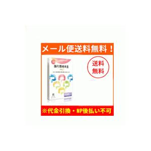 【メール便！送料無料！】【ヘルスケアシステムズ】腸内環境検査　腸活チェック【kkn】｜denergy