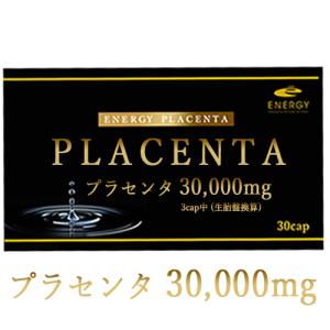 プレミアムプラセンタ 40日分✖️３袋 120日分 プレミアムプラセンタ 40日分✖️3袋 120日分 プレミアムプラセンタ