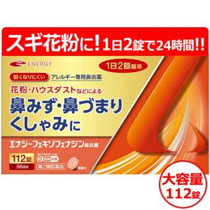 denergy_x-4580628144257-jp5-ha