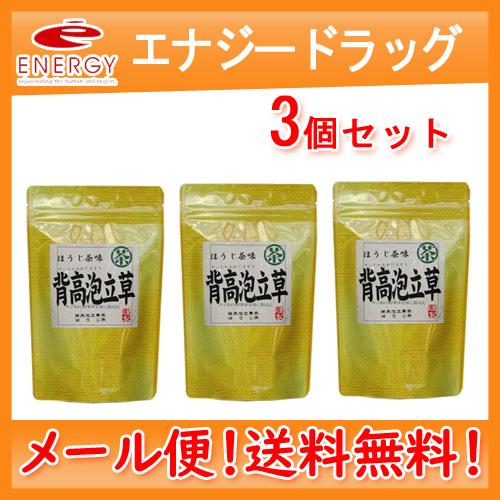 【中郷屋】【メール便！送料無料！】 背高泡立草茶　3g×18包×3個セット