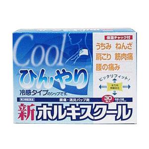 新ホルキスクールの商品画像