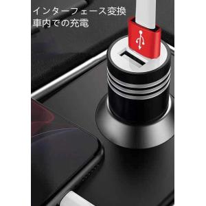type-CメスからUSBオス変換アダプターi...の詳細画像4
