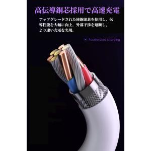 急速充電ケーブル 3in1 Type-C Li...の詳細画像3