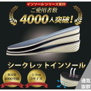 インソール シークレット 身長アップ 防臭 通気 低反発