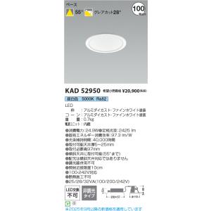 ODELIC（オーデリック） OD261908RS LEDダウンライト : でんきサロンま