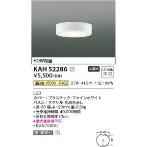 コイズミ照明 KAU50489 薄型シーリング/60W相当防雨型/白/ONOFFセンサ