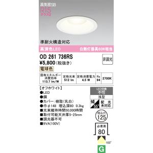 ODELIC オーデリック OD261894RS LEDダウンライト : でんき