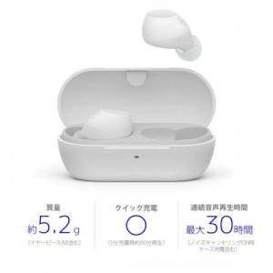 SONY ソニー 完全ワイヤレスイヤホン ノイ...の詳細画像2