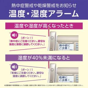 パナソニック Panasonic デジタルコー...の詳細画像3