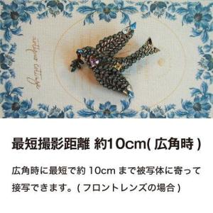 ケンコー Kenko コンパクトデジタルカメラ...の詳細画像5