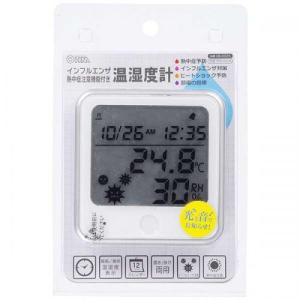 オーム電機 OHM 時計付き温湿度計 TEM-300-W